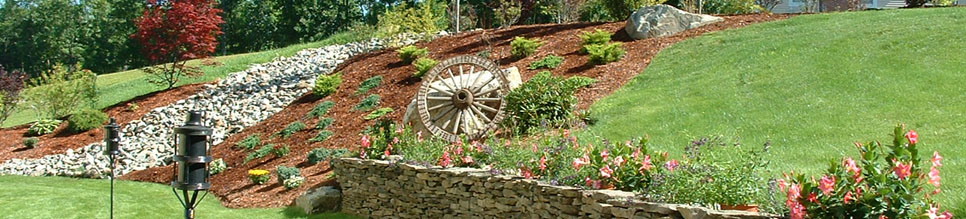 wagon wheel landscape